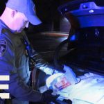 Police officer inspecting car trunk at night.
