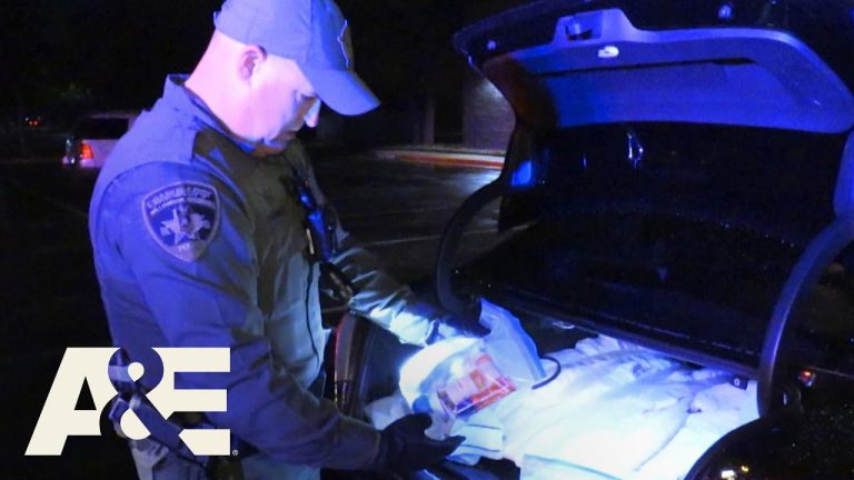 Police officer inspecting car trunk at night.