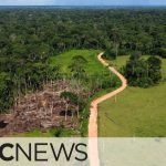 Aerial view of forest with deforested area