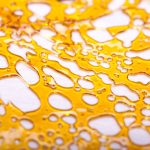 Golden cannabis shatter close-up, translucent texture.