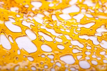 Golden cannabis shatter close-up, translucent texture.